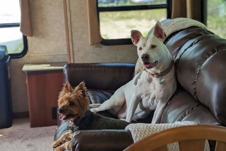 All inclusive Fur baby friendly fully loaded RV with delivery.