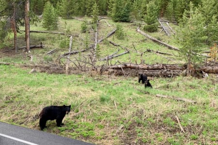 CasaGrandeRuinsNationalMonument Rv Rentals