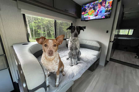 LexingtonRV rentals