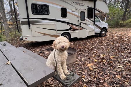 NewGlarusWoodsStatePark Rv Rentals