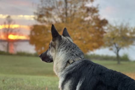 AfricanBurialGroundNationalMonument Rv Rentals