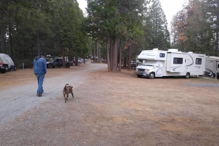 DAVISRV rentals