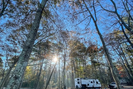 BogueChittoStatePark Rv Rentals