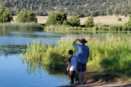 Mcarthur-BurneyFallsMemorialStatePark Rv Rentals