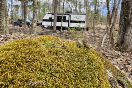 BonEchoProvincialPark Rv Rentals