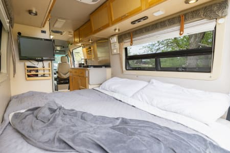 RiseAndVibesMusicFestival Rv Rentals