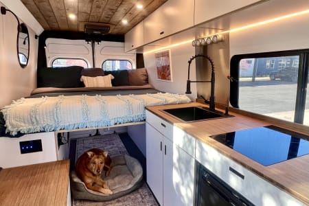 Broomfield CO CHAPPIE – GeoTrek Off-Grid Campervan | AC | Outdoor Shower | Toilet