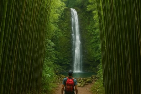 Wailuku HI Amazing Water Fall Adventure Hike