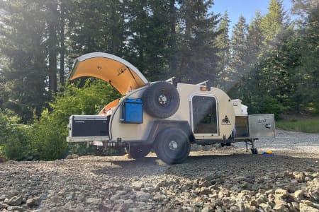 Sammamish WA Bison Teardrop