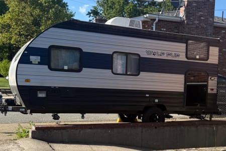 Pawtucket RI Take Your Wolf Pups in this Wolf Pup