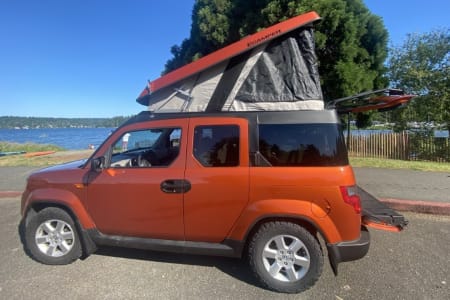 Seattle WA Orange Crush