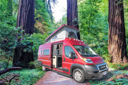santa rosa CA Meet Scarlet - Adventure + Luxury - 4 seatbelts/sleeps 4