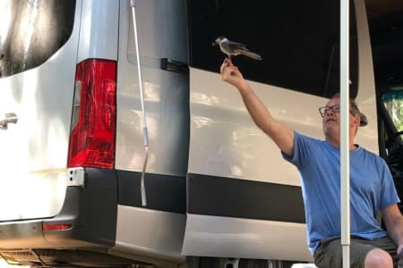 Seattle WA Peace Vans 2025 Mercedes Sprinter - Skykomish