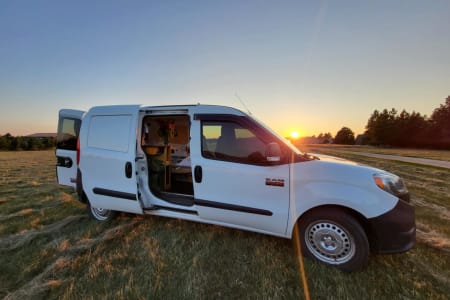 RAPID CITY SD Fern and Friends-FREYA