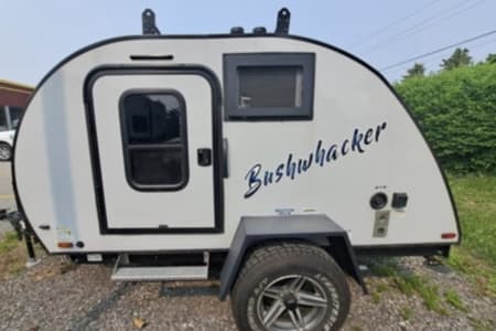 Toronto ON Free Spirit