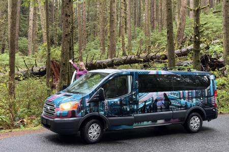 Las Vegas NV DEKART Transit 350