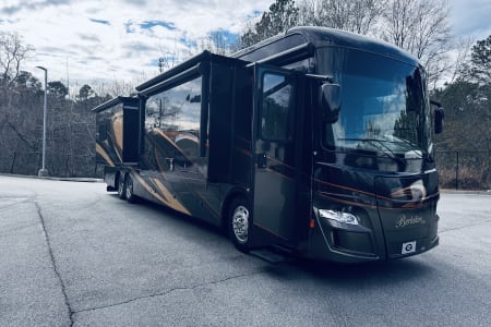 Gainesville GA Berkie Wanderer