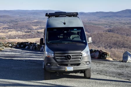 Charlottesville VA Stella