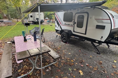 Springdale AR Boo Boo The Bear!  Brand New Sugarbear #36