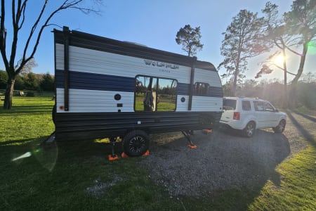 Woodland CA 2024 Wolf Pup 14CC