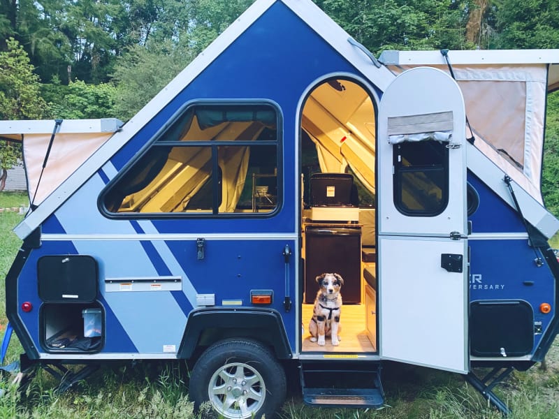 Good dogs approved.