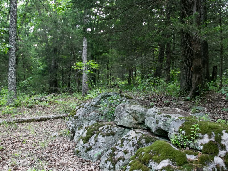 This part of the state has some amazing geology and it's all here on our 46 acre property