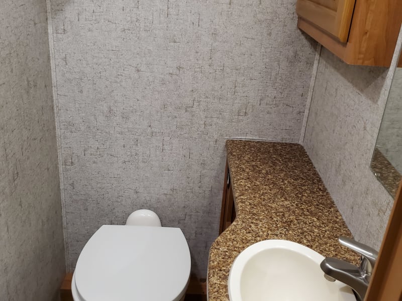 toilet and sink