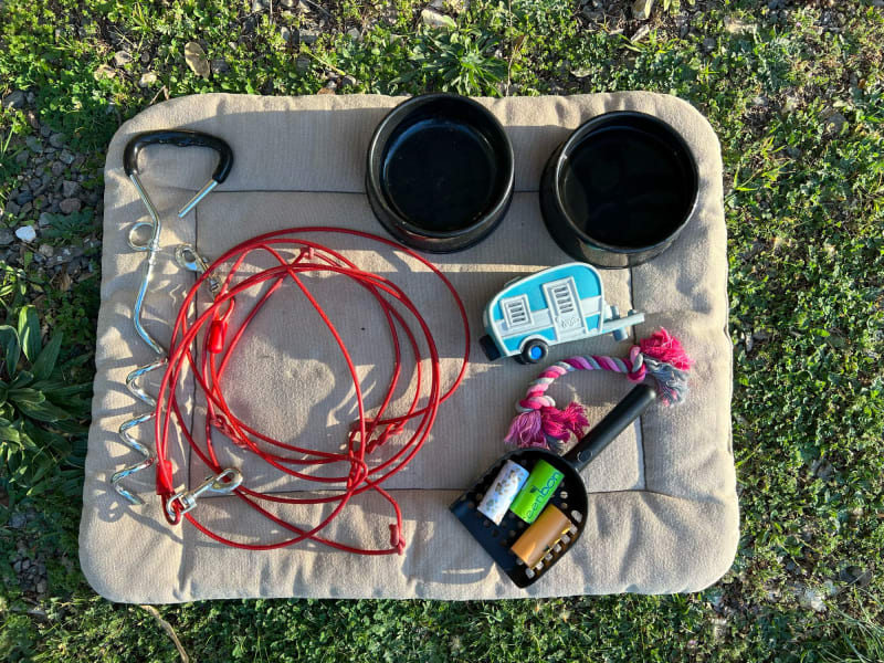 Bed, long leash with tie down, poop scoop and bags, toys and food and water dish