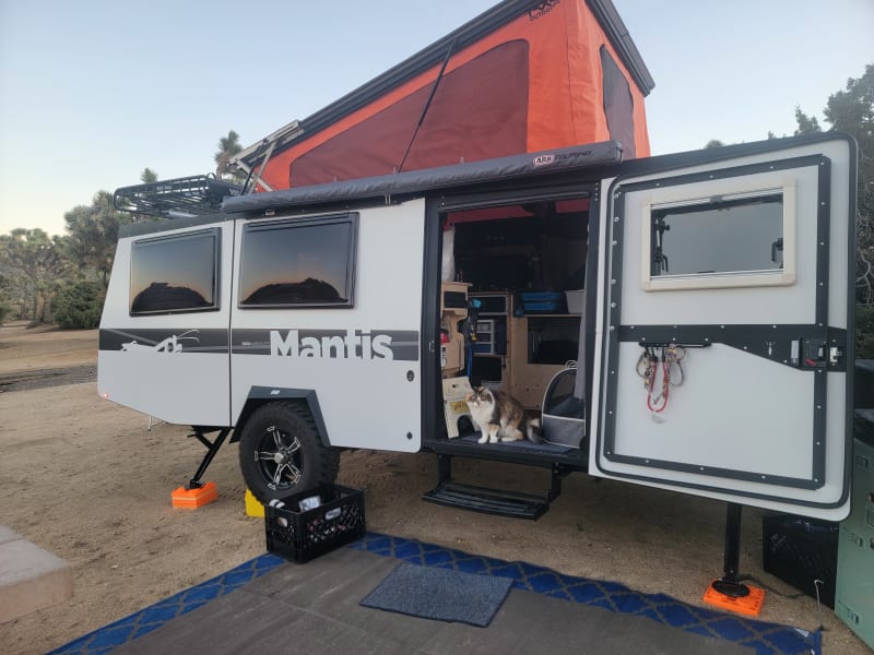Adventure cat monitoring the setup!