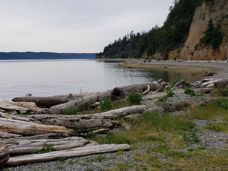 Camano Island Coast