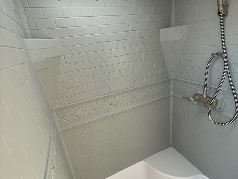 Large, modern shower. Removable showerhead, shaving ledge, and plug that allows for a shallow bath for little ones. Good water flow, gas heating. 
