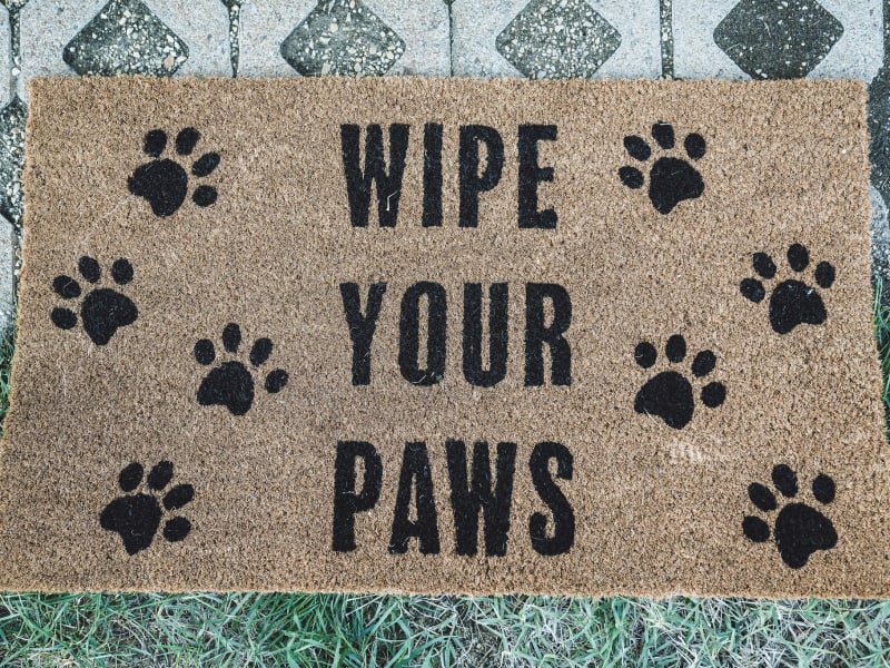 And last but never-ever least...all paws are welcome.  Unless it's a mountain lion, or a bear.  ; )