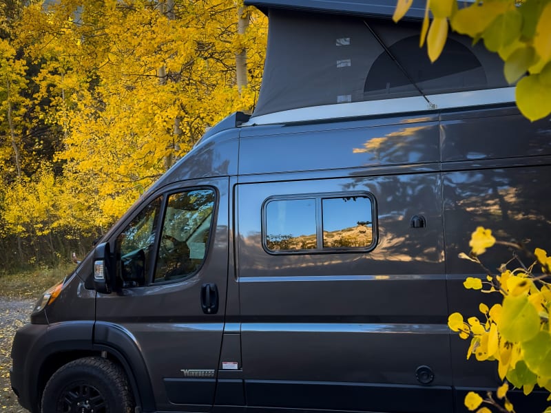 Solis enjoying the Aspens in the Eastern Sierras