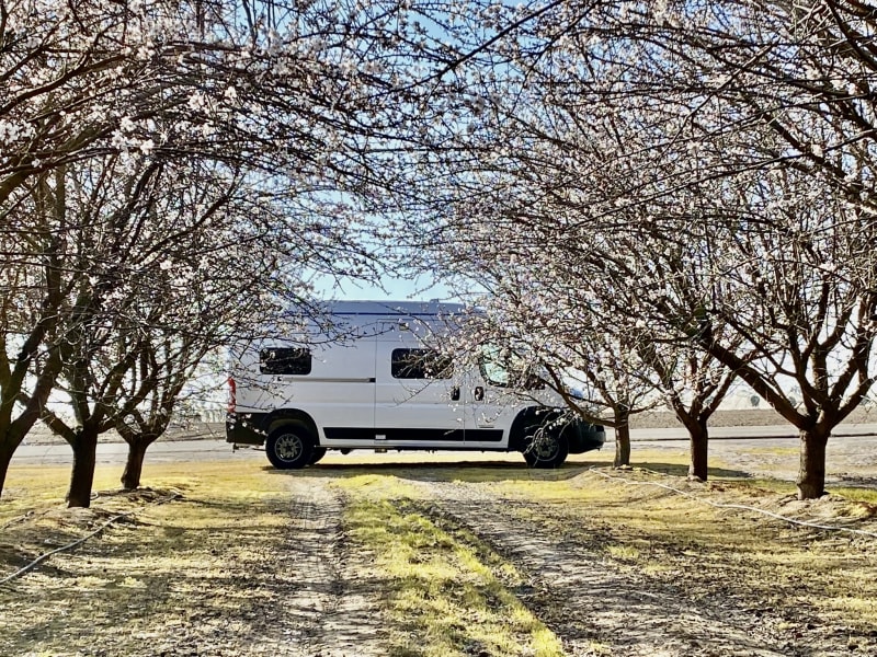 camper van with blossome