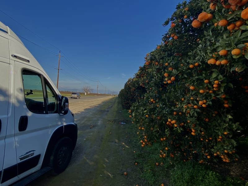 camper van with orange harvest