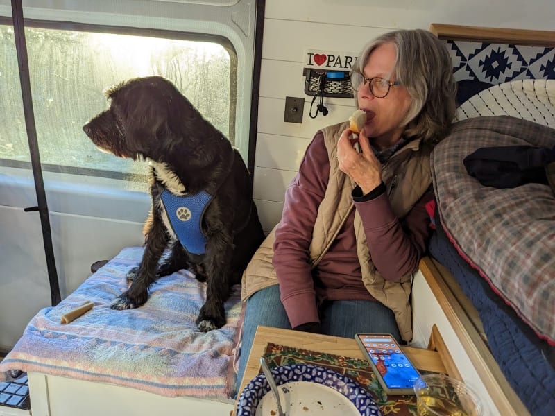 Rainy day inside lunch. Van has safety restraints for our dog, Remy.  He hates being left at home and we save a fortune on dog-sitting/boarding fees!