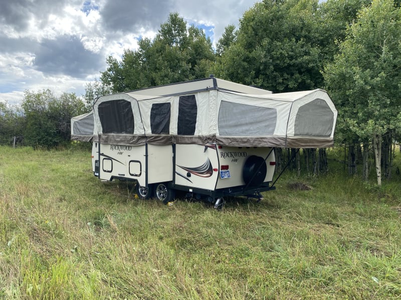 Parked in a quiet field in an aspen grove