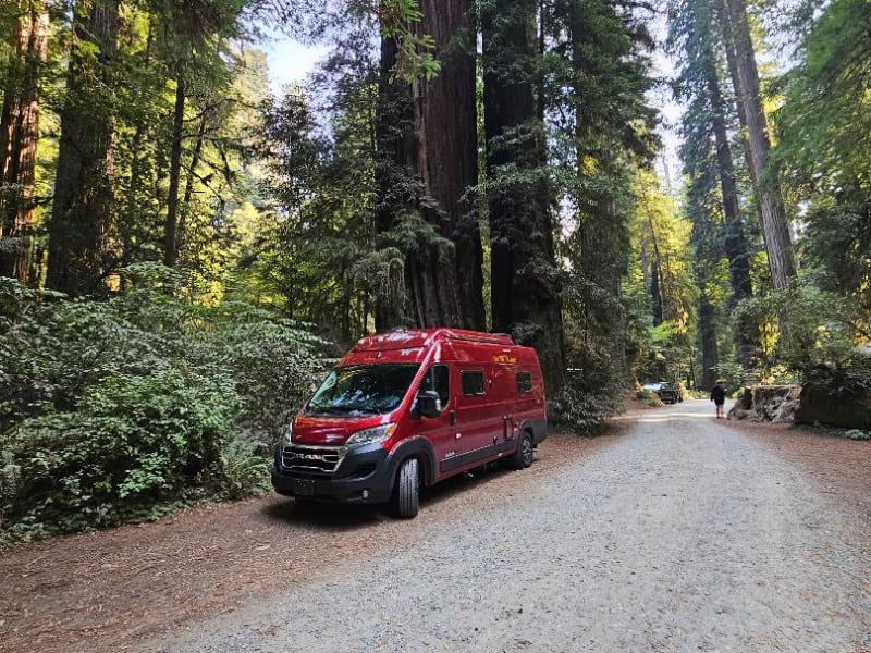 Renters at Redwood National and State Parks California