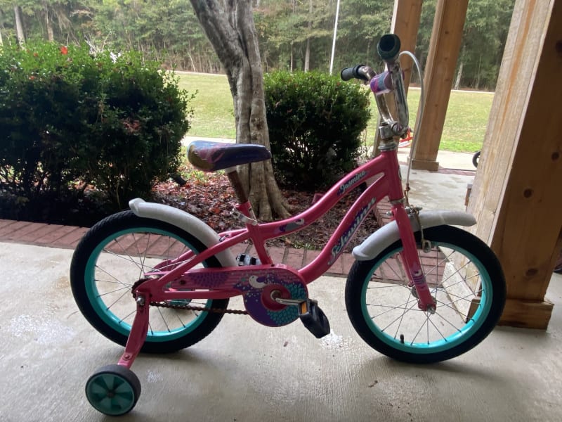 Bike with training wheels for a girl available as an add-on for $5 per trip.