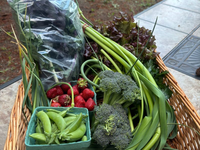 Example of the Seasonal Veggies basket we offer as an add-on.