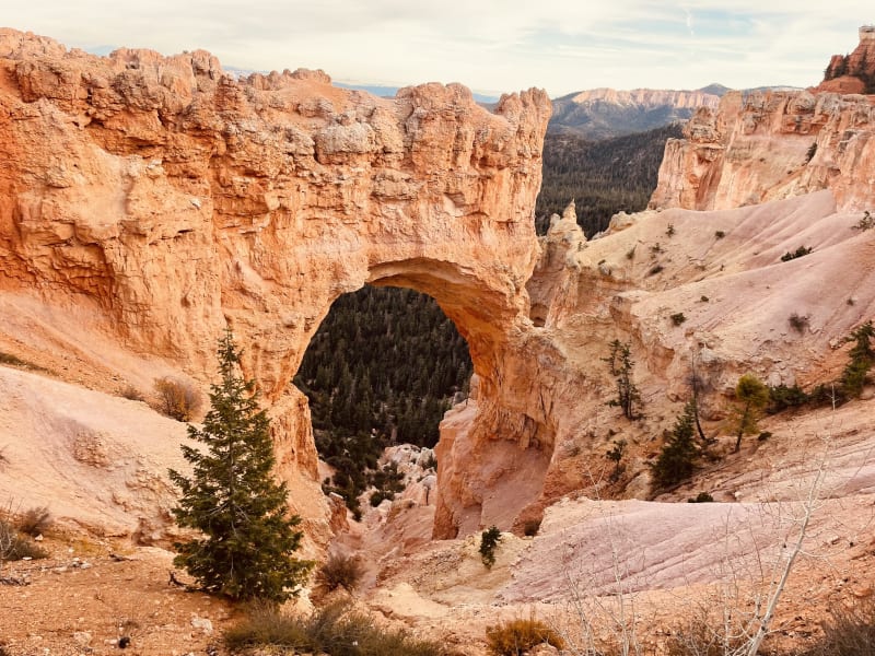 Spectacular Bryce Canyon views. 