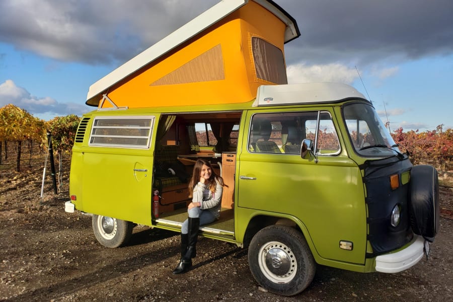 vw camper van westfalia