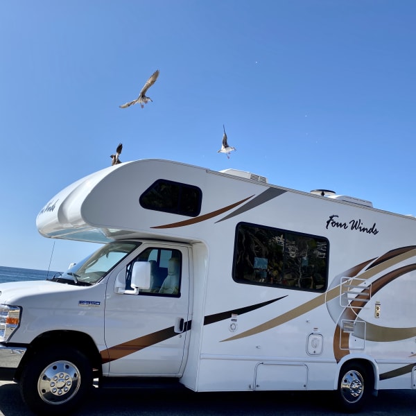 2019 Thor Four Winds Class C available for rent in Santa Ana, California