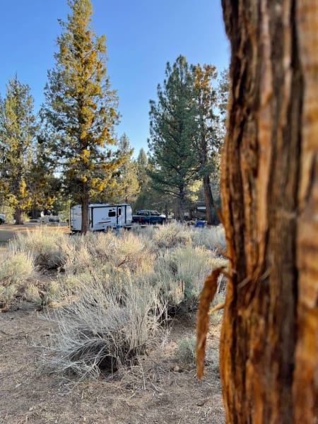2022 Forest River Other Travel Trailer available for rent in Beaumount, California