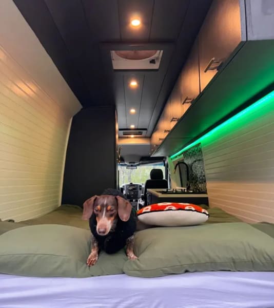 2008 Dodge Sprinter 3500 170”wb Class B available for rent in San Diego, California