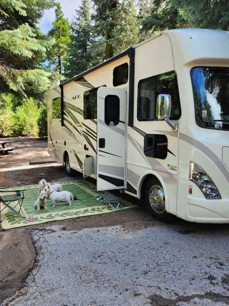 2018 Thor A.C.E. Class A available for rent in San Diego, California