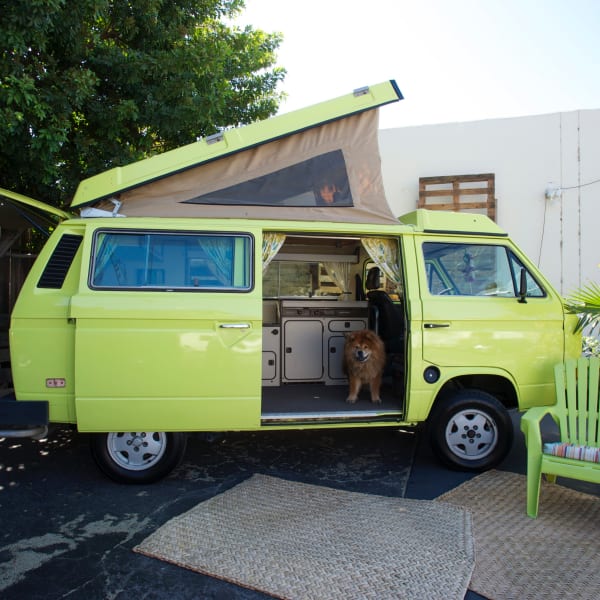 1984 Volkswagen westfalia Class B available for rent in Costa Mesa, California