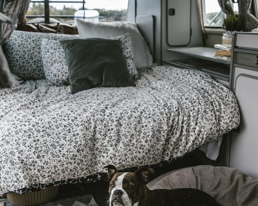 1984 Volkswagen T3 Westfalia Class B for rent in Montreal Quebec
