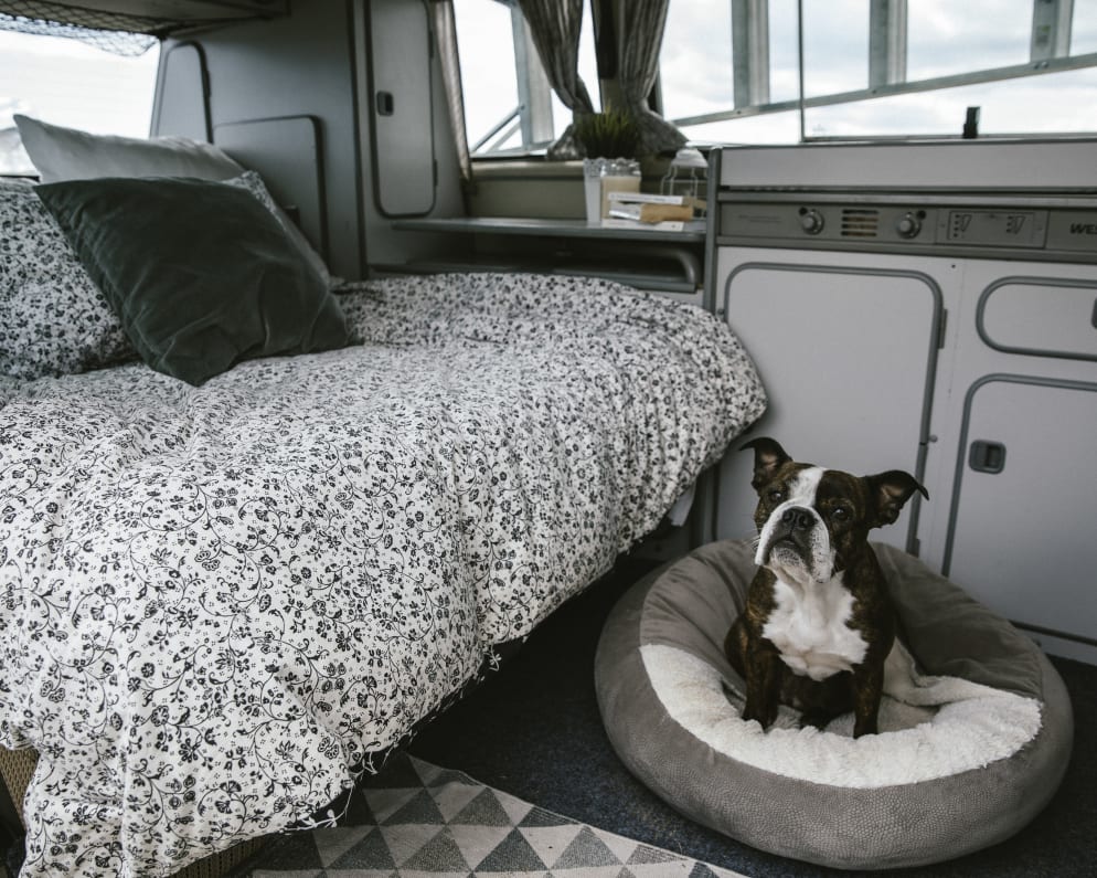 1985 Vanagon Westfalia  by Volkswagen for rent in H2K 3V8