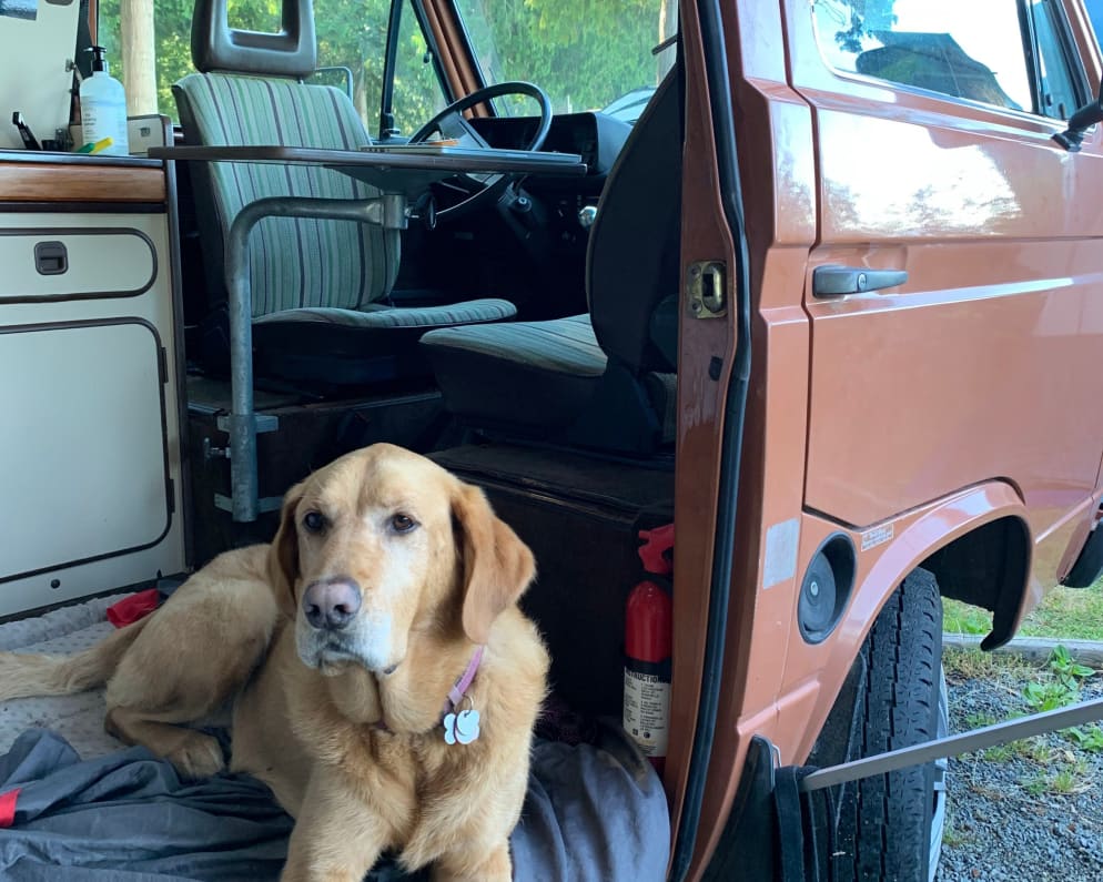 1984 Volkswagen Vanagon Class B for rent in Vancouver British Columbia